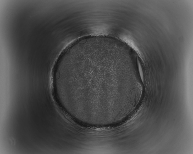 X0000094940584200712061233