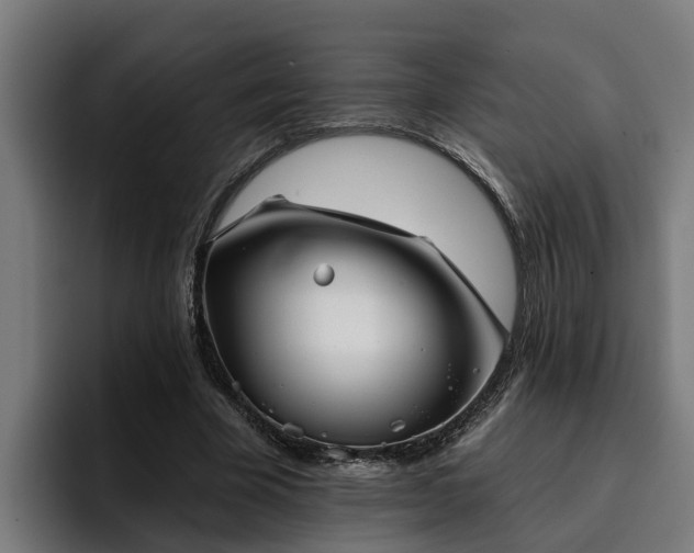 X0000094940585200712061233