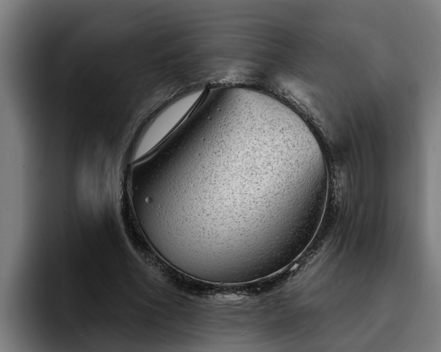 X0000094940586200712061233