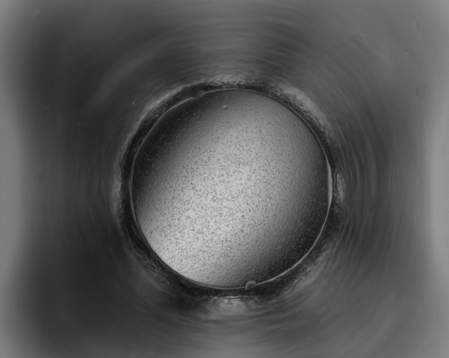 X0000094940588200712061233