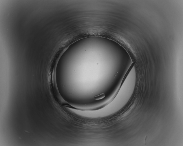 X0000094940589200712061233