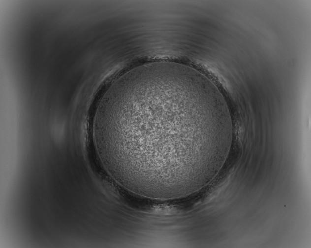 X0000094940591200712061233