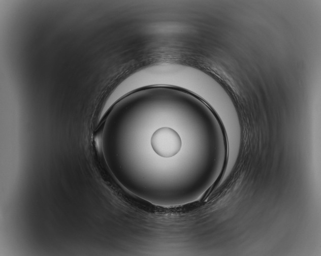 X0000094940593200712061233