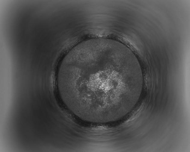 X0000094940594200712061233