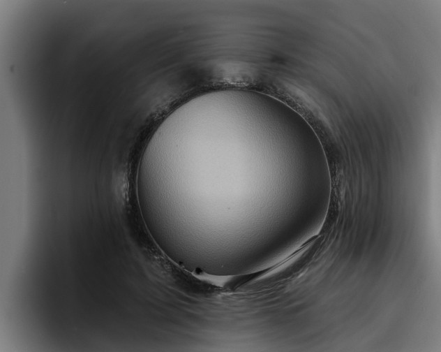 X0000094940595200712061233