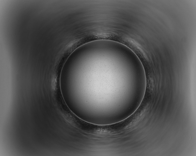 X0000094940596200712061233