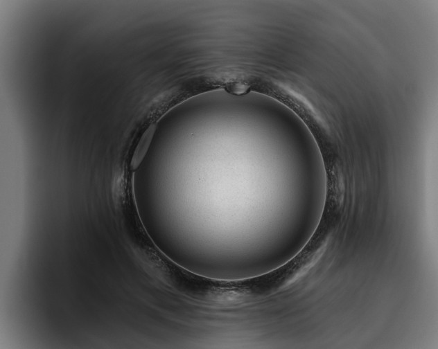 X0000094940597200712061233