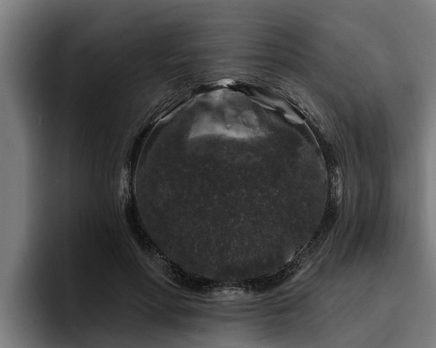 X0000094940598200712061233