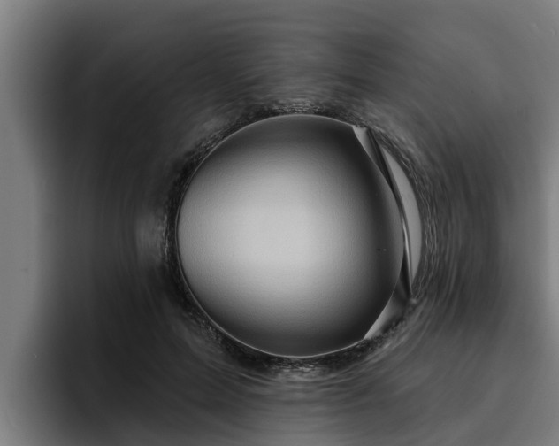 X0000094940599200712061233