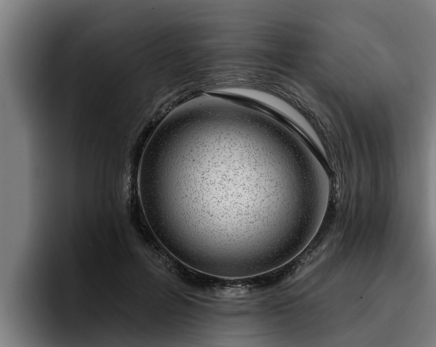 X0000094940600200712061233