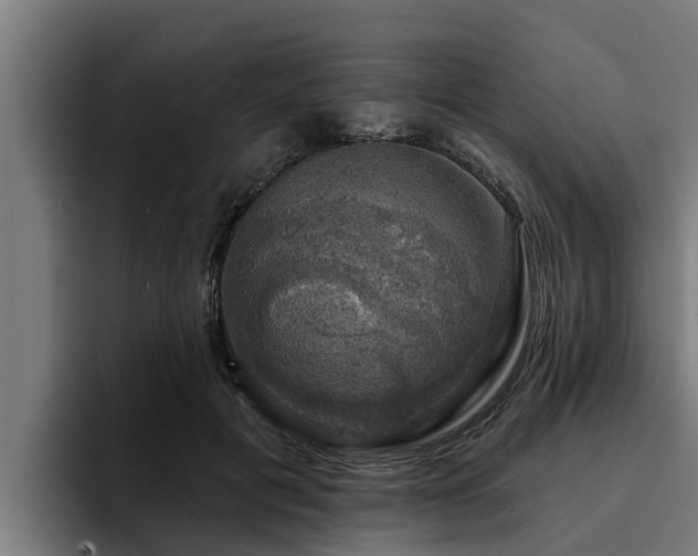 X0000094940601200712061233