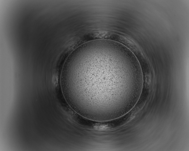 X0000094940602200712061233