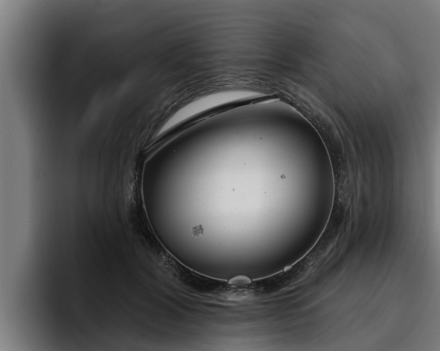 X0000094940604200712061232