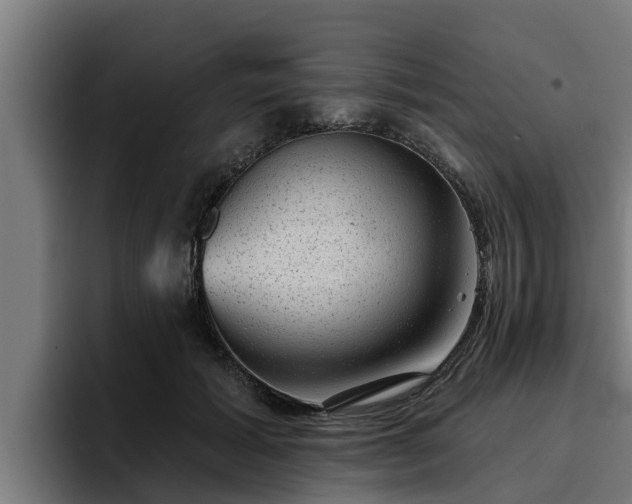 X0000094940605200712061232