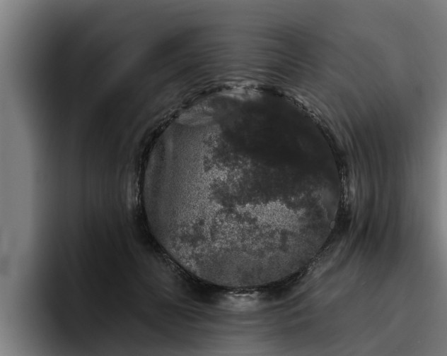 X0000094940606200712061232