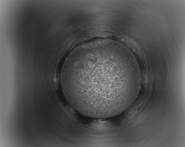 X0000094940607200712061232