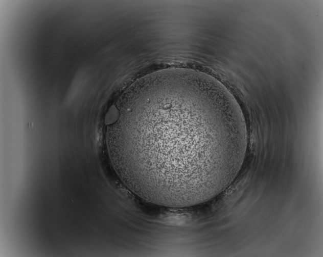 X0000094940608200712061232