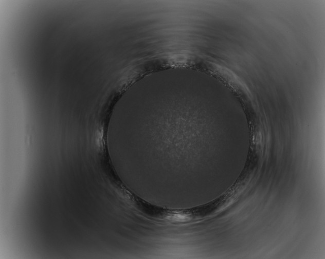 X0000094940610200712061232