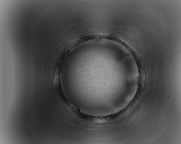 X0000094940613200712061232