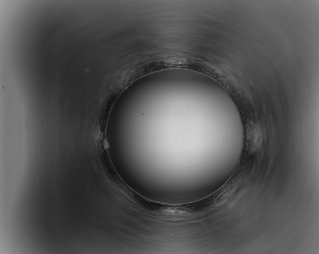 X0000094940614200712061232