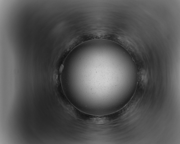 X0000094940615200712061232