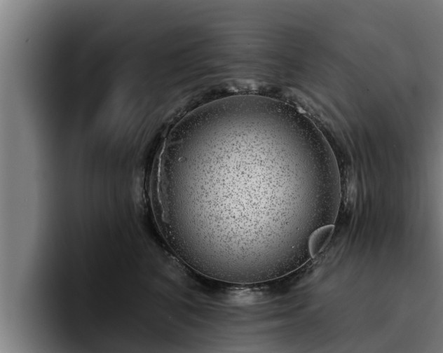 X0000094940616200712061232