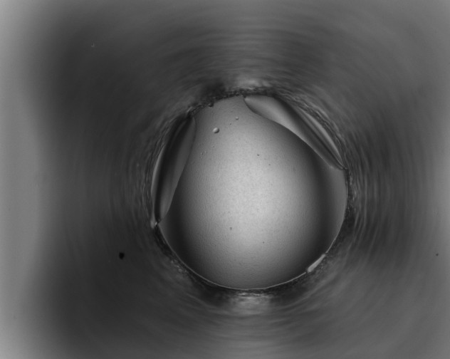 X0000094940617200712061232