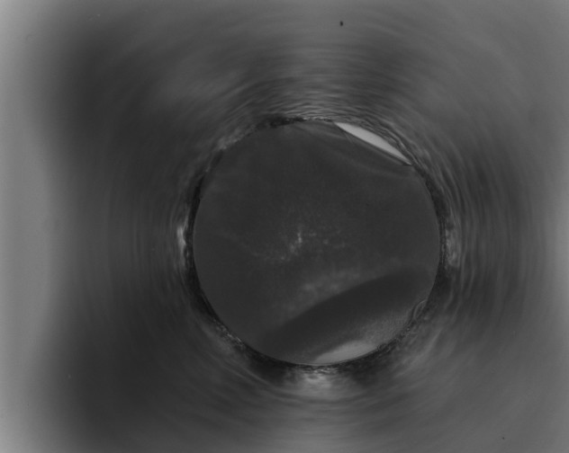 X0000094940618200712061232