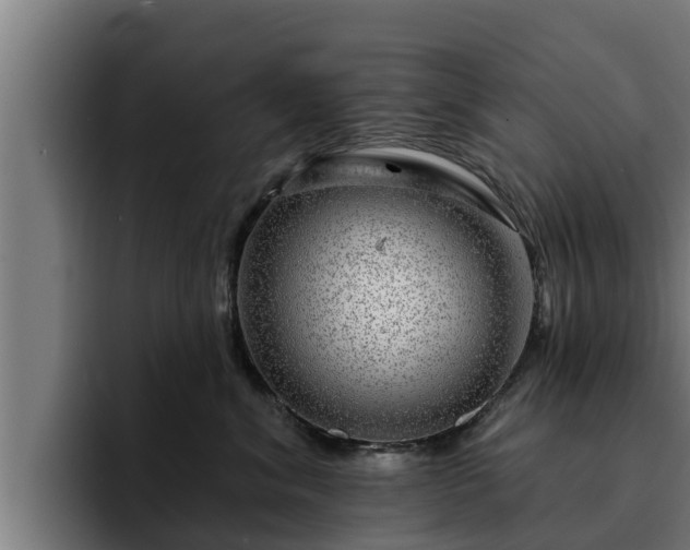 X0000094940620200712061232