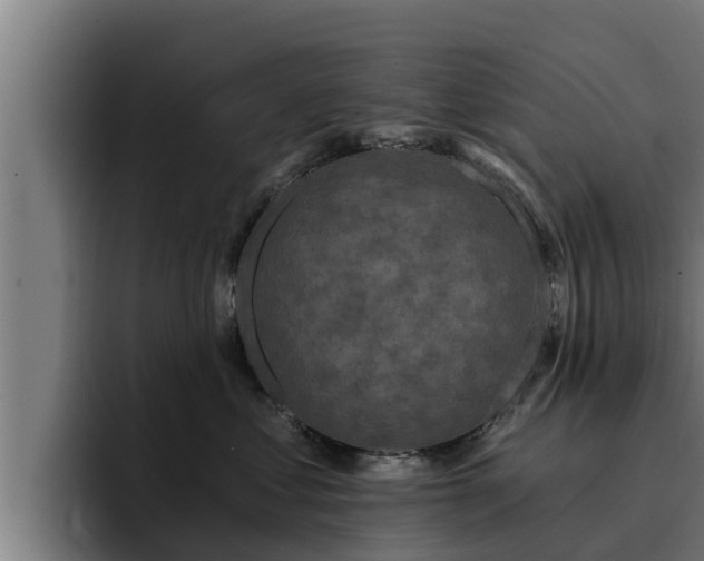 X0000094940621200712061232