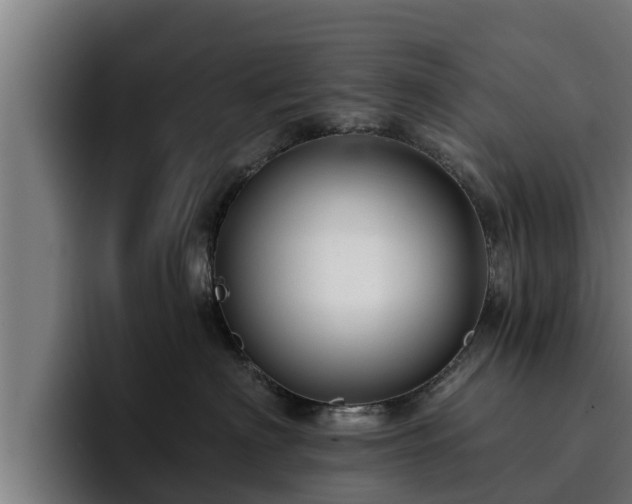 X0000094940622200712061232