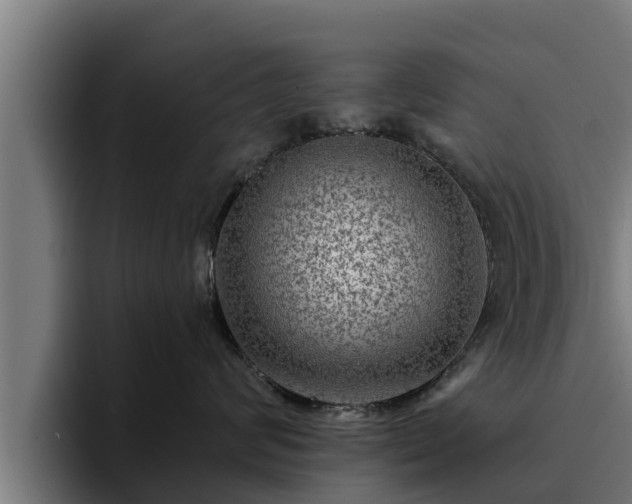 X0000094940624200712061232