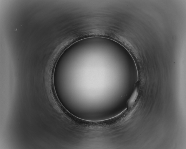 X0000094940625200712061232