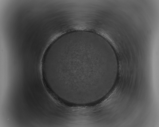 X0000094940626200712061232