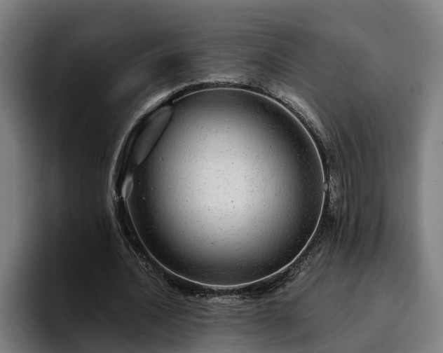 X0000094940628200712061232