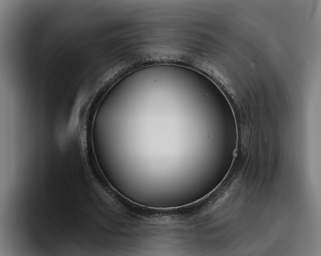 X0000094940629200712061232