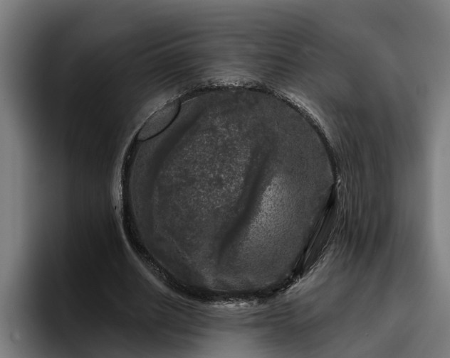 X0000094940630200712061232