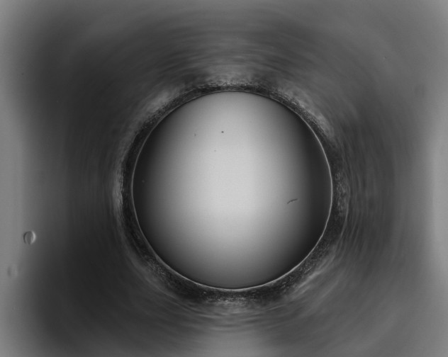 X0000094940631200712061232