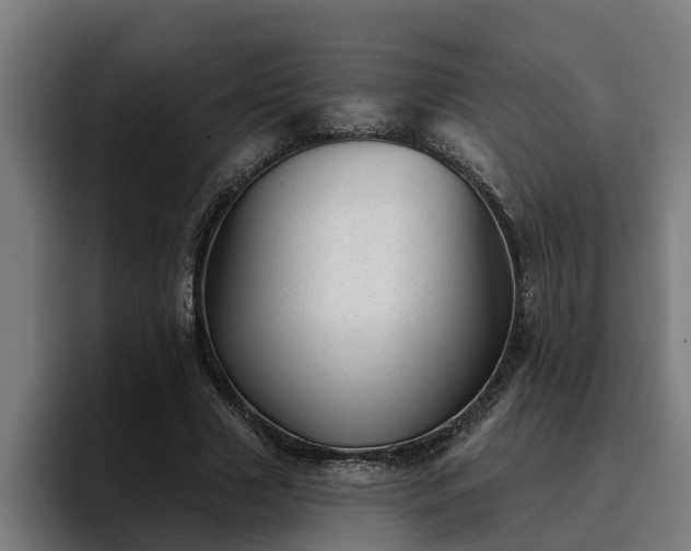 X0000094940633200712061232