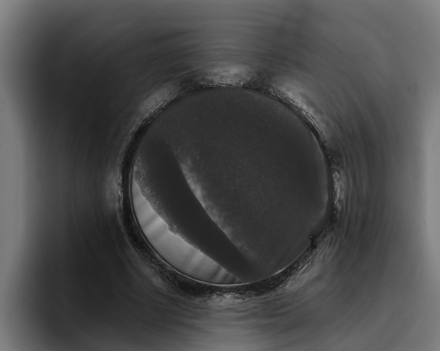 X0000094940634200712061232