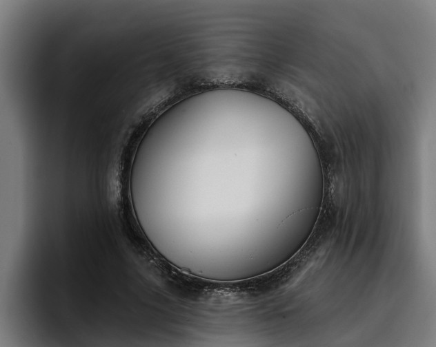 X0000094940635200712061232