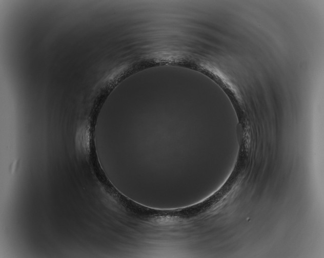 X0000094940637200712061232