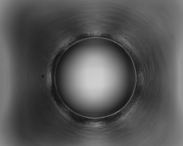 X0000094940638200712061232