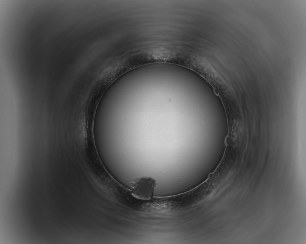 X0000094940639200712061232