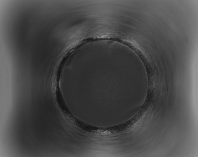 X0000094940640200712061232