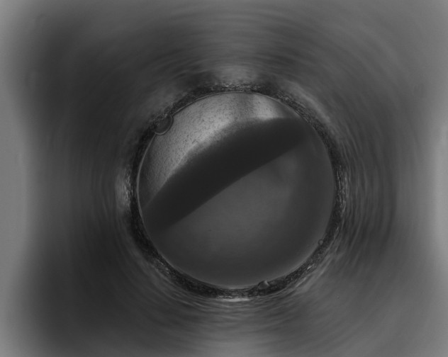 X0000094940644200712061232