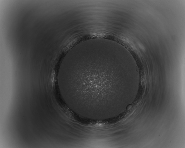 X0000094940647200712061232