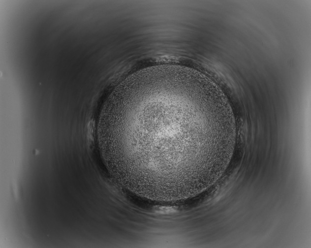 X0000094940649200712061232