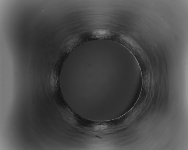 X0000094940653200712061232