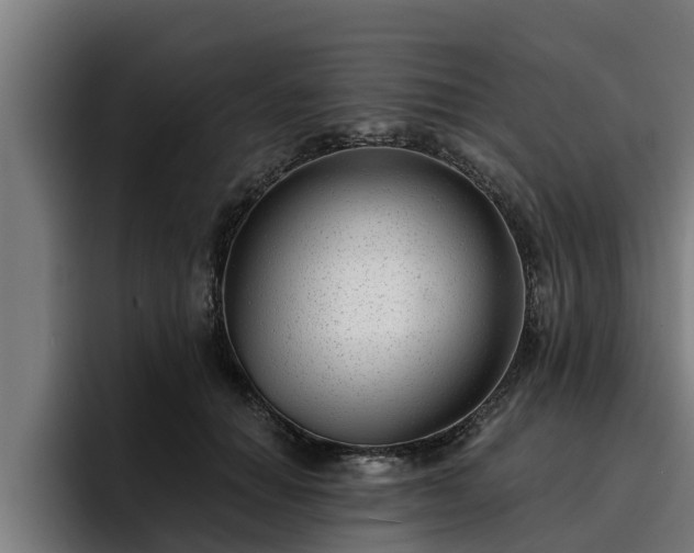 X0000094940654200712061232